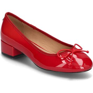 Steve Madden Cherish 40 Red 40 Steve Madden Cherish 40 Red 40