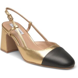 Steve Madden Zeina 41 Gold 41 Steve Madden Zeina 41 Gold 41