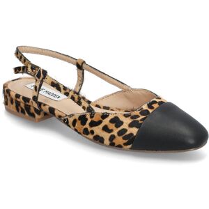 Steve Madden Belinda-L Ballerina 38 Black 38 Steve Madden Belinda-L Ballerina 38 Black 38
