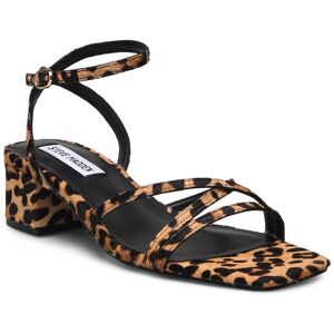 Steve Madden Gabby-L Sandal 36 Brown 36 Steve Madden Gabby-L Sandal 36 Brown 36