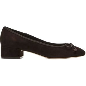Steve Madden Cherisher 37 Brown 37 Steve Madden Cherisher 37 Brown 37