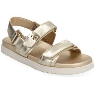 Steve Madden Mona Sandal 36 Gold 36 Steve Madden Mona Sandal 36 Gold 36