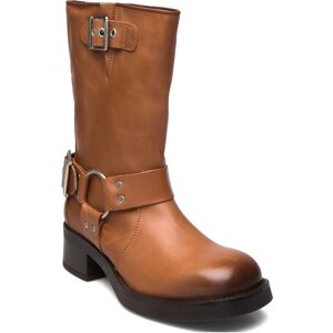 Steve Madden Blessing 36 Brown 36 Steve Madden Blessing 36 Brown 36