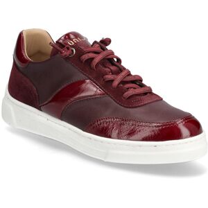UNISA Fidolonfver 35 Burgundy 35 UNISA Fidolonfver 35 Burgundy 35
