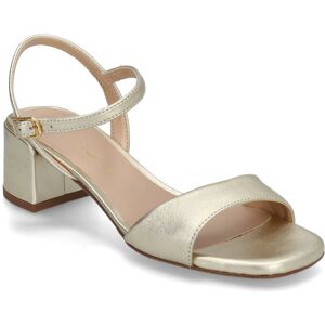 UNISA Kirk25Lmt 37 Gold 37 UNISA Kirk25Lmt 37 Gold 37