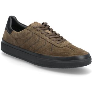 VAGABOND Leo 43 Green 43 VAGABOND Leo 43 Green 43