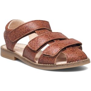 Wheat Addison Aop Sandal 29/18.5CM Brown 29/18.5CM Wheat Addison Aop Sandal 29/18.5CM Brown 29/18.5CM