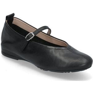 Wonders Gracia 42 Black 42 Wonders Gracia 42 Black 42