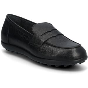 Wonders Flyfit 01 36 Black 36 Wonders Flyfit 01 36 Black 36