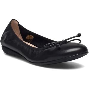 Wonders Bo 36 Black 36 Wonders Bo 36 Black 36