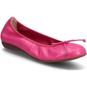 Wonders Bo 40 Pink 40 Wonders Bo 40 Pink 40