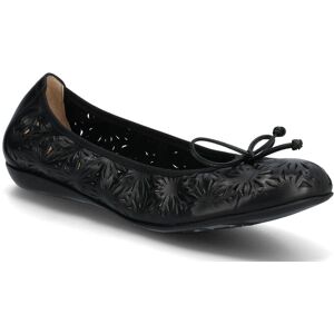 Wonders Bo 80 37 Black 37 Wonders Bo 80 37 Black 37