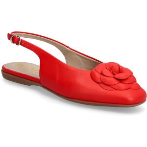 Wonders Pepa 40 42 Red 42 Wonders Pepa 40 42 Red 42