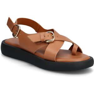 Wonders Horizon 32 36 Brown 36 Wonders Horizon 32 36 Brown 36