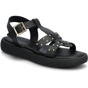 Wonders Musa 67 38 Black 38 Wonders Musa 67 38 Black 38