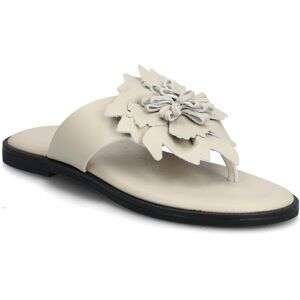 Wonders Musa 87K 38 Cream 38 Wonders Musa 87K 38 Cream 38