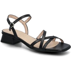 Wonders Caliza 01 36 Black 36 Wonders Caliza 01 36 Black 36
