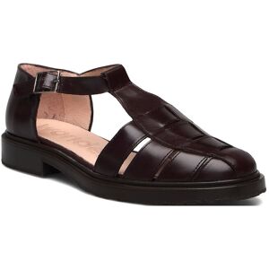 Wonders Lars 40 Burgundy 40 Wonders Lars 40 Burgundy 40