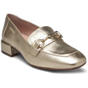 Wonders Gladys 36 Gold 36 Wonders Gladys 36 Gold 36