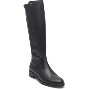 Wonders Codigree 00 41 Black 41 Wonders Codigree 00 41 Black 41