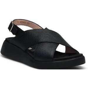Wonders Ula 36 Black 36 Wonders Ula 36 Black 36