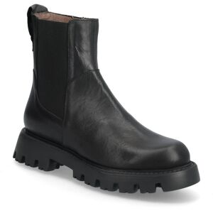 Wonders Goodfly 11 36 Black 36 Wonders Goodfly 11 36 Black 36