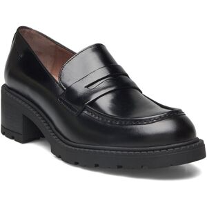 Wonders Evoclub 01 36 Black 36 Wonders Evoclub 01 36 Black 36