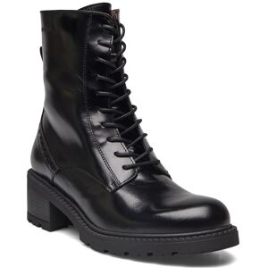 Wonders Azura 40 Black 40 Wonders Azura 40 Black 40