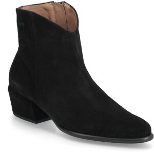 Wonders Feo 01 35 Black 35 Wonders Feo 01 35 Black 35