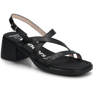 Wonders Moai 03 36 Black 36 Wonders Moai 03 36 Black 36