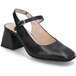 Wonders Jane 41 Black 41 Wonders Jane 41 Black 41
