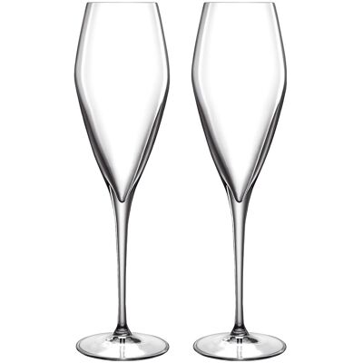 Luigi Bormioli Champagneglas Prosecco Atelier 27 CL 27 CL Luigi Bormioli Champagneglas Prosecco Atelier 27 CL 27 CL