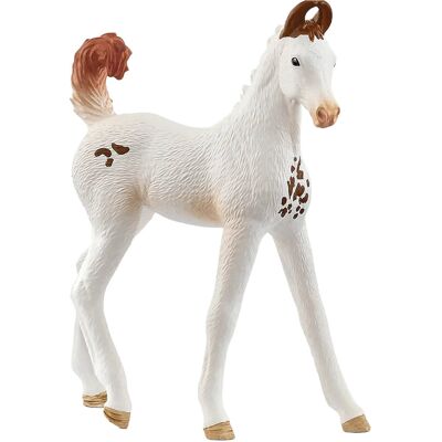 Schleich Marwari Foal ONE SIZE Patterned ONE SIZE Schleich Marwari Foal ONE SIZE Patterned ONE SIZE