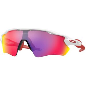 Oakley Radar EV Path 0OO9208 Annet