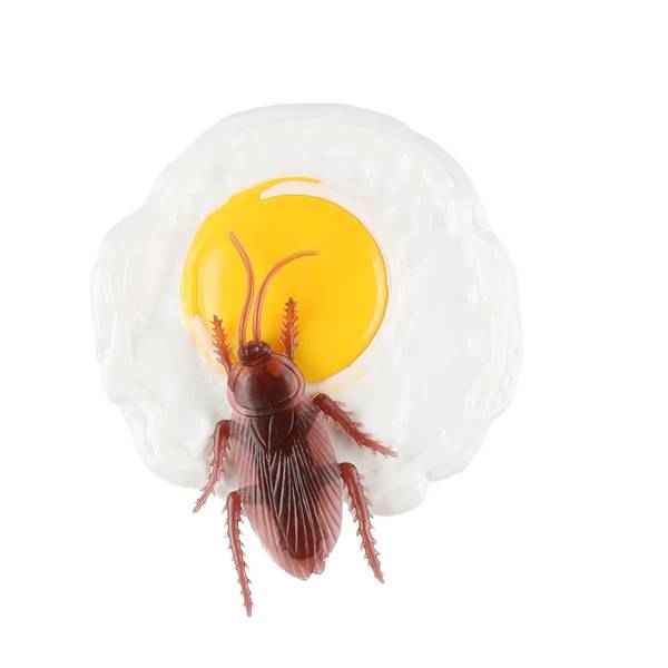 Rampestrek Egg Med Insekt
