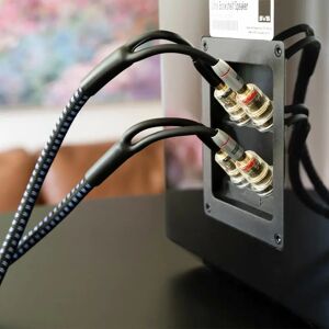 SVS Soundpath Ultra Bi-Wire - Stk Bi-Wire Høyttalerkabel - 3 Meter SVS Soundpath Ultra Bi-Wire - Stk Bi-Wire Høyttalerkabel - 3 Meter