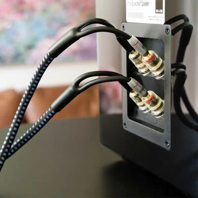 SVS Soundpath Ultra Bi-Wire - Stk Bi-Wire Høyttalerkabel - 3 Meter SVS Soundpath Ultra Bi-Wire - Stk Bi-Wire Høyttalerkabel - 3 Meter