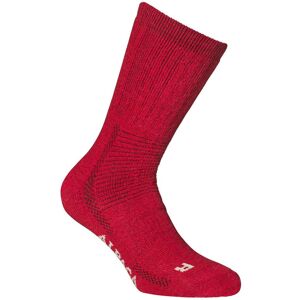 Alpacasocks ALPACASOCKS 2-PACK  AMARENA