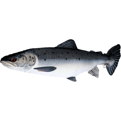 CAL - C.A. Leschbrandt Fiskepute - Laks - 90 Cm Lang CAL - C.A. Leschbrandt Fiskepute - Laks - 90 Cm Lang