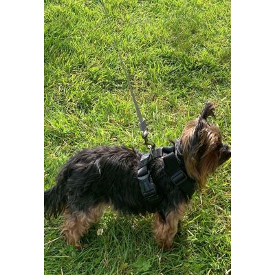 Hundesele (Xl) Hundesele (Xl)