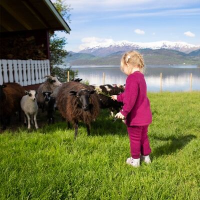 Safa Flossy Bukse Cerise 60 Safa Flossy Bukse Cerise 60