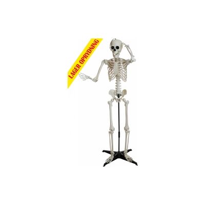 Halloween Dekoration, Klassisk Skelet, 150cm TILBUD NU Halloween Dekoration, Klassisk Skelet, 150cm TILBUD NU
