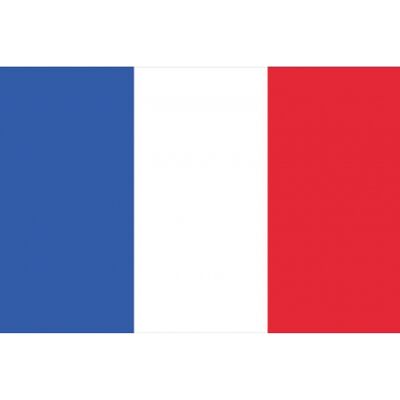 Europalms Flag, France, 600x360cm TILBUD NU frankrike palms flagg euro Europalms Flag, France, 600x360cm TILBUD NU frankrike palms flagg euro