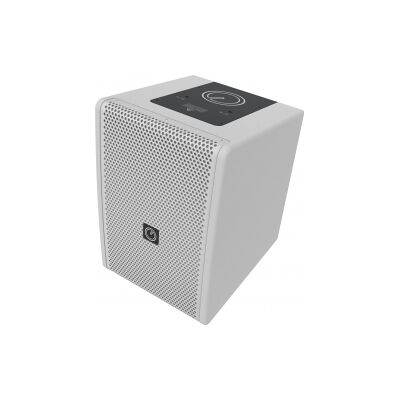 INTUSONIC 6FP100T 6.5" 2-way Fullrange Speaker white TILBUD NU INTUSONIC 6FP100T 6.5" 2-way Fullrange Speaker white TILBUD NU