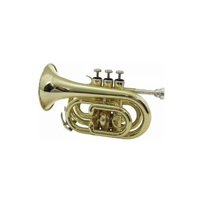 Dimavery TP-300 Bb Pocket Trumpet, gold TILBUD NU trompet lomme gull Dimavery TP-300 Bb Pocket Trumpet, gold TILBUD NU trompet lomme gull