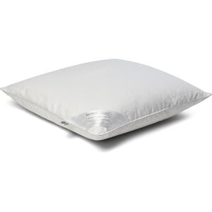 Nordstrand Home Moskusdun hodepute - Høy pute - 3 kammer dunpute - 60x63 cm - moskusdunpute Nordstrand Home Moskusdun hodepute - Høy pute - 3 kammer dunpute - 60x63 cm - moskusdunpute