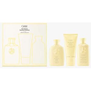 Oribe Hair Alchemy Discovery Collection