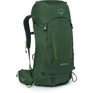 Osprey Kestrel 38 Bonsai Green L/XL