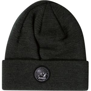 Bergans Of Norway Fine Knit V2 Beanie Duke Green OS