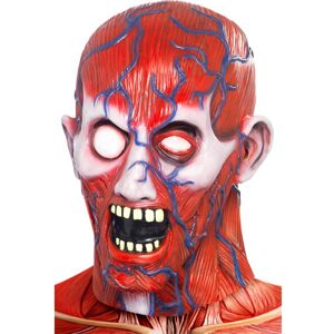 Smiffys Anatomy mask